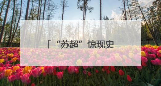 “苏超”惊现史前拉拉队！中华恐龙园“恐龙大军”将亮相开幕式